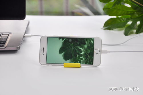 2021年蘋果產品選購指南 iPhone、iPad、iWatch、AirPods全方位解析及軟件設計開發推薦